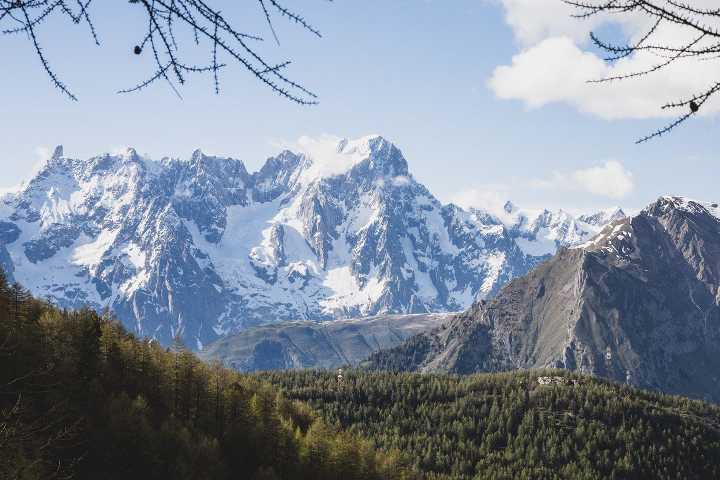 Felpa Mont-Blanc